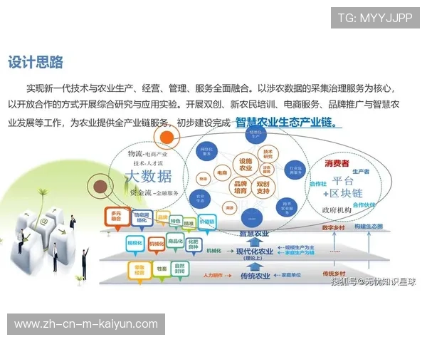 数字化升级阶段不仅关注核心办赛逻辑 还将服务触点延伸至周边游